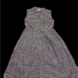 Birds Of North America Sleeveless Button-Down Dress in Blue